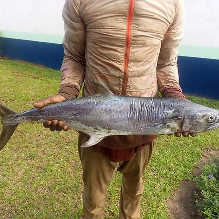 Residence Callens Kribi Luaran gambar