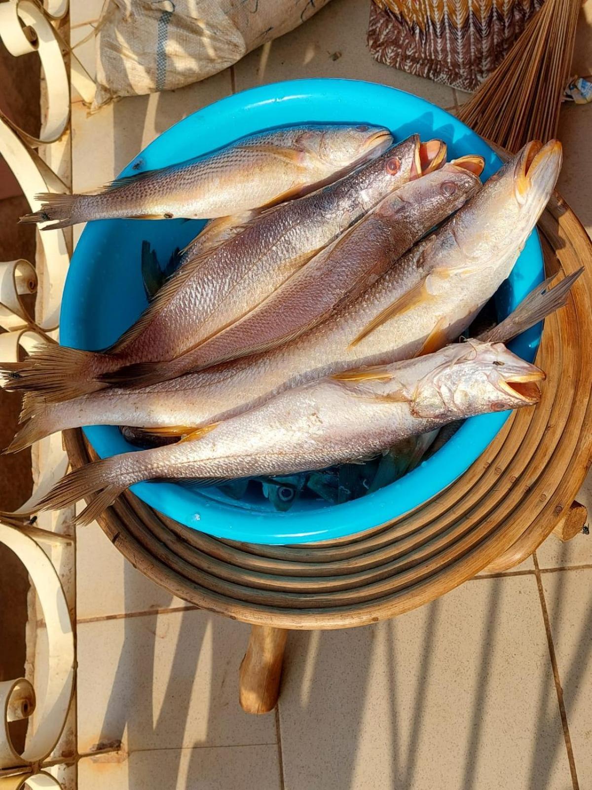 Residence Callens Kribi Luaran gambar