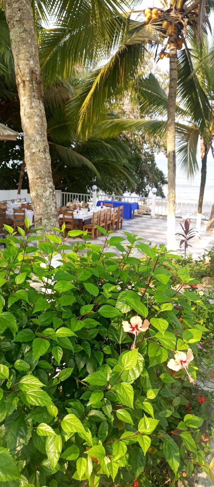 Residence Callens Kribi Luaran gambar