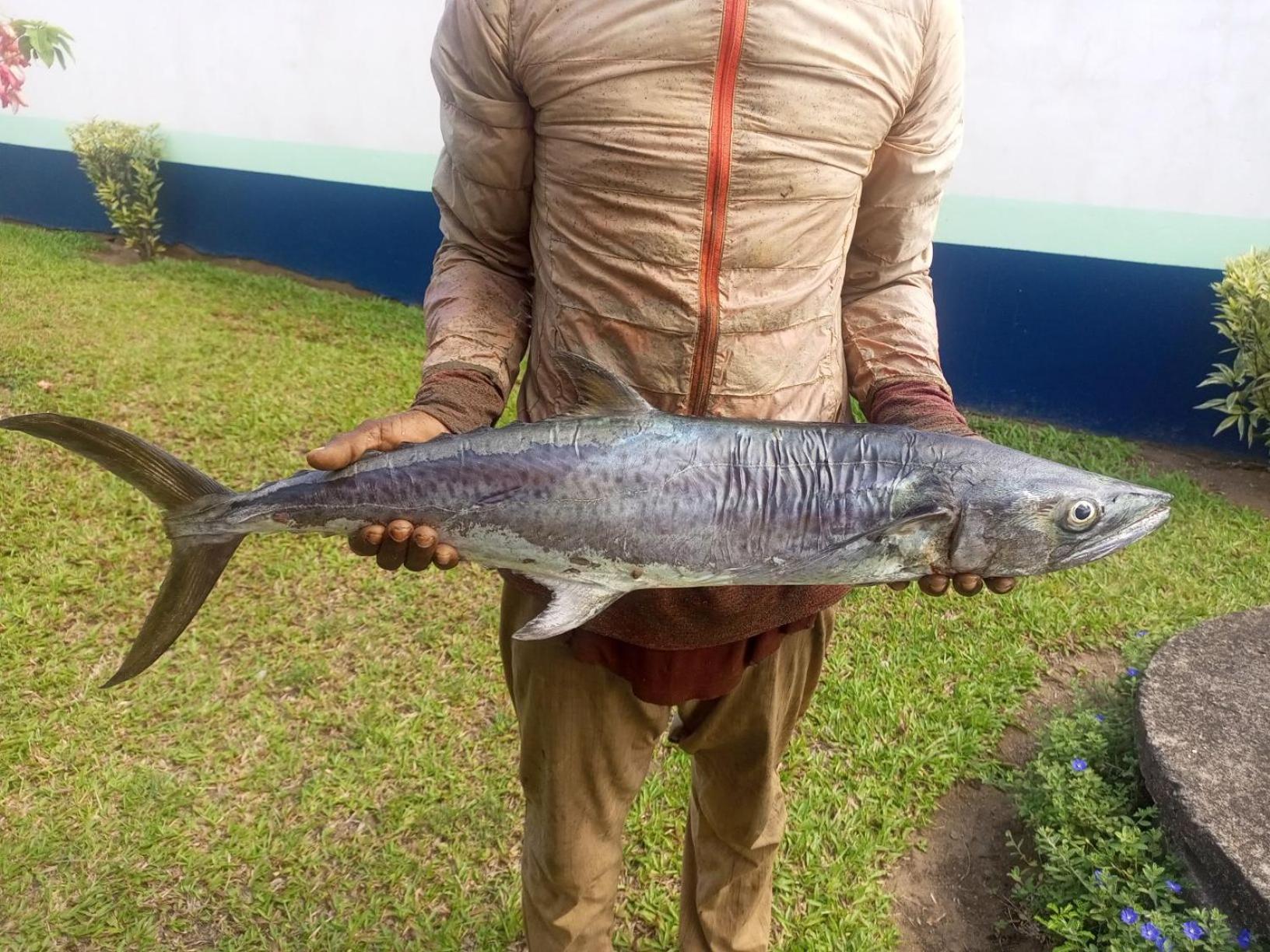 Residence Callens Kribi Luaran gambar